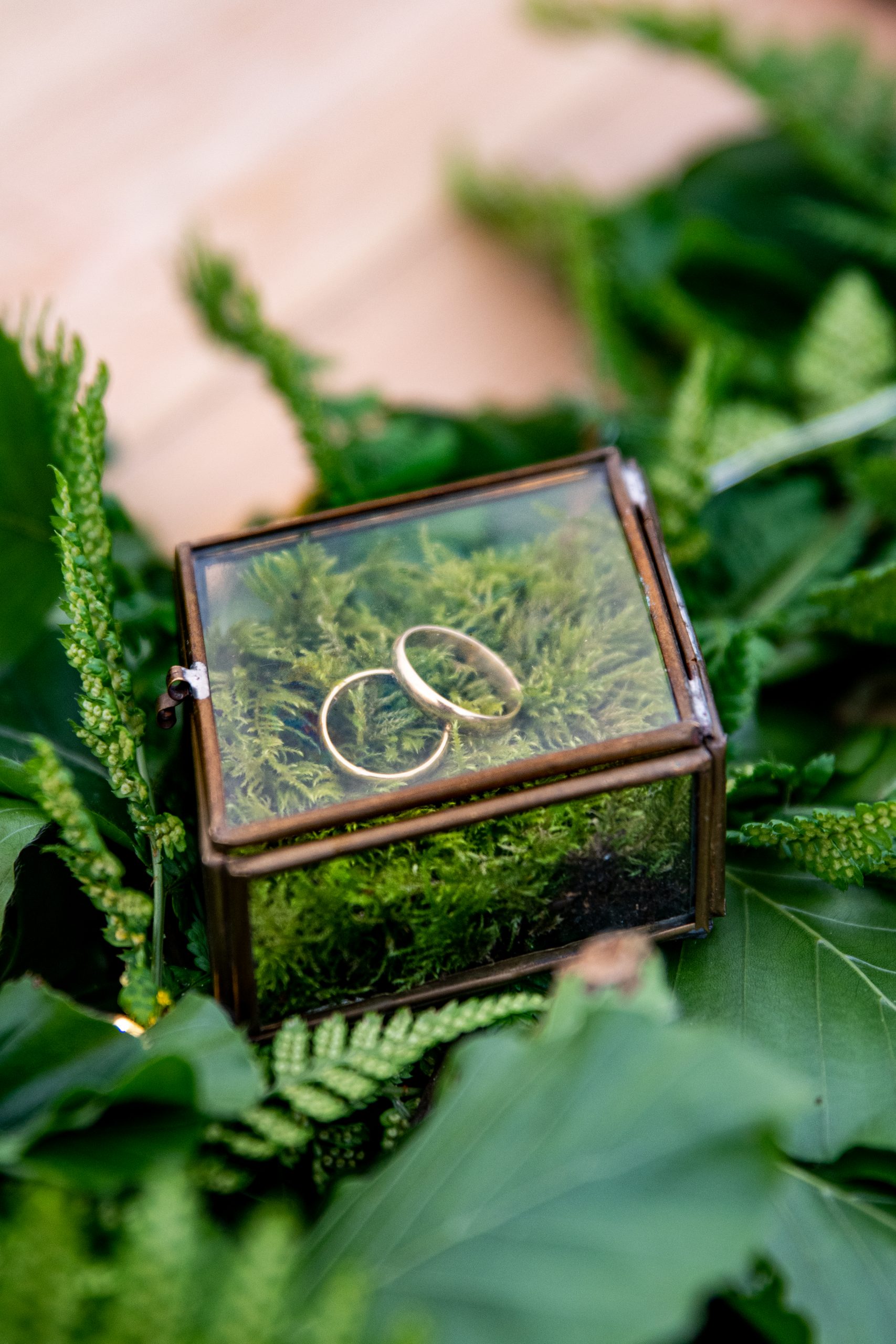 https://www.focuscreatief.com/wp-content/uploads/2024/11/JOERALUCA2019.wedding.RJFC-130-van-821-scaled.jpg